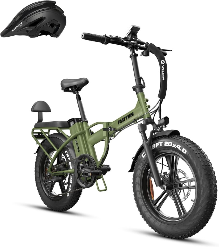 Rattan 750W Electric Bike for Adults 48V 13AH Removable Battery Foldable Electric Bikes LM/LF Pro Ebike 20 x 4.0 Fat Tire Electric Bicycles 2 Seater